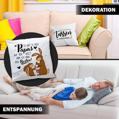 Hasen Kissen - Es gibt so viele Papas auf der Welt und ich habe den Besten!