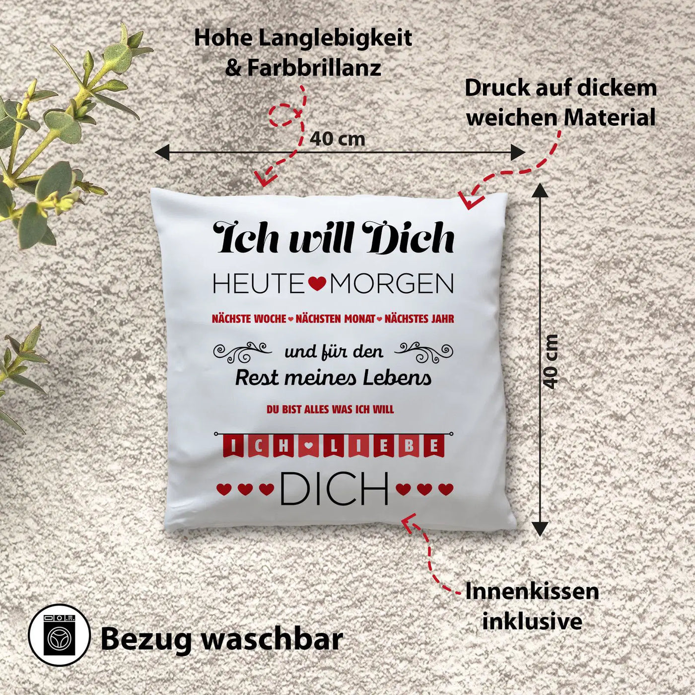 Kissen - Ich will Dich, Ich liebe Dich