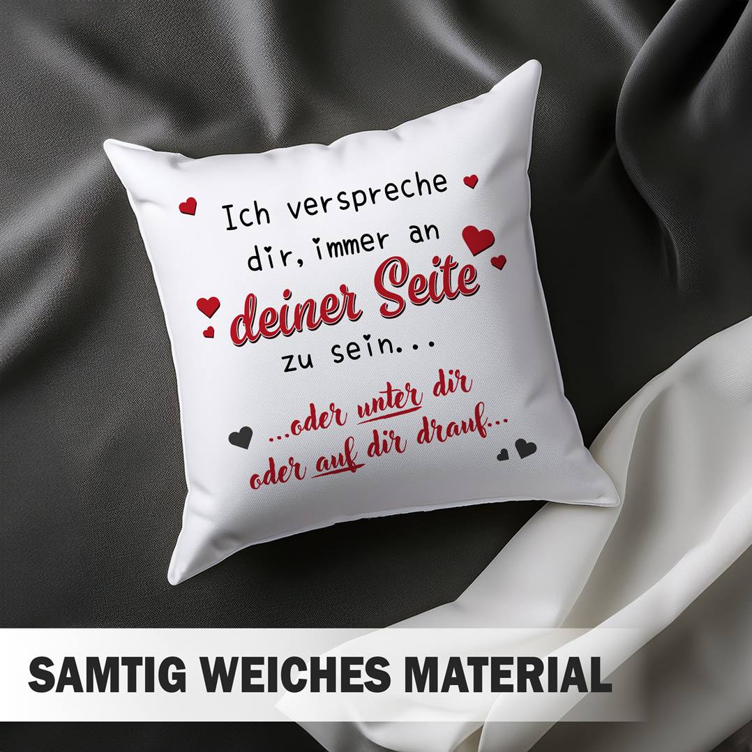 Kissen - Immer an Deiner Seite... oder unter Dir oder auf Dir drauf.