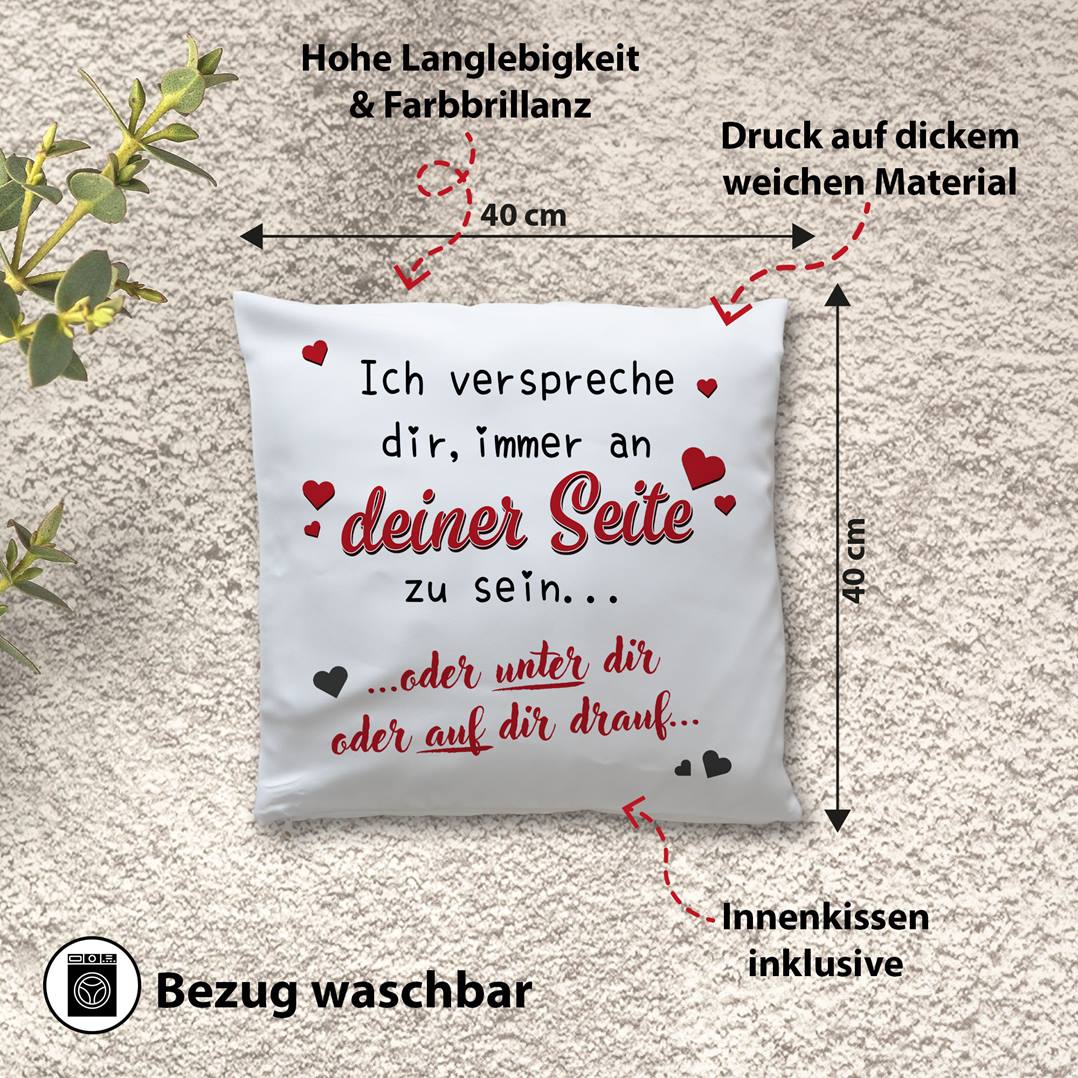 Kissen - Immer an Deiner Seite... oder unter Dir oder auf Dir drauf.