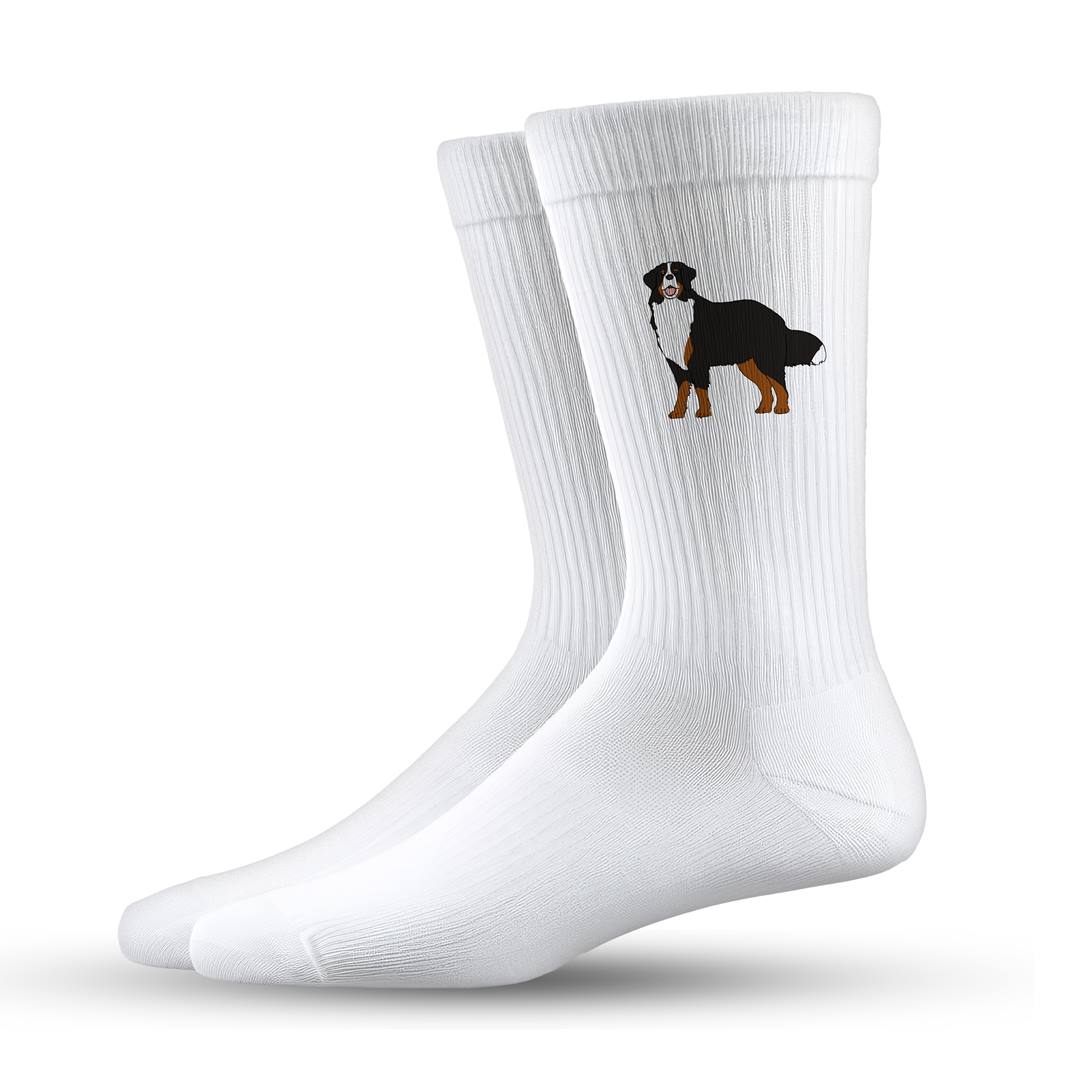 Socken - Berner Sennerhund