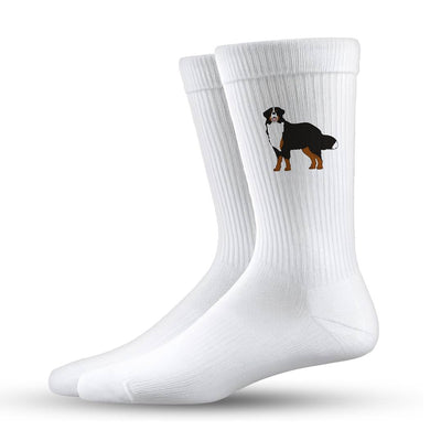 Socken - Berner Sennerhund