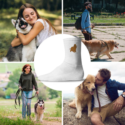 Socken - Cocker Spaniel
