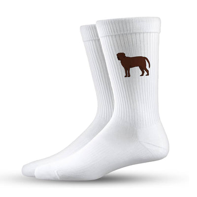 Socken - Labrador