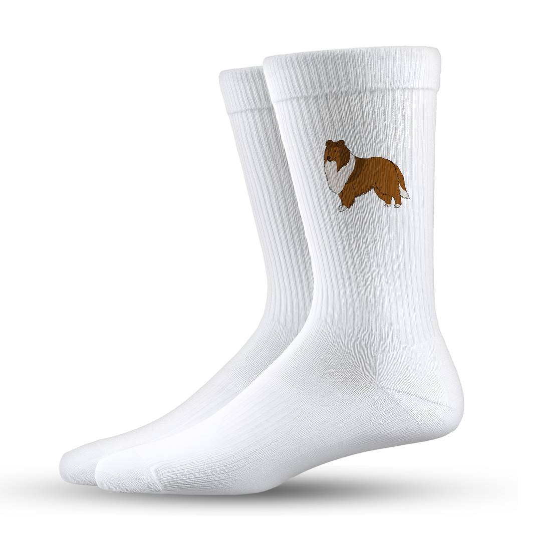 Socken - Langhaarcollie