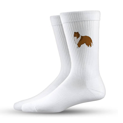 Socken - Langhaarcollie