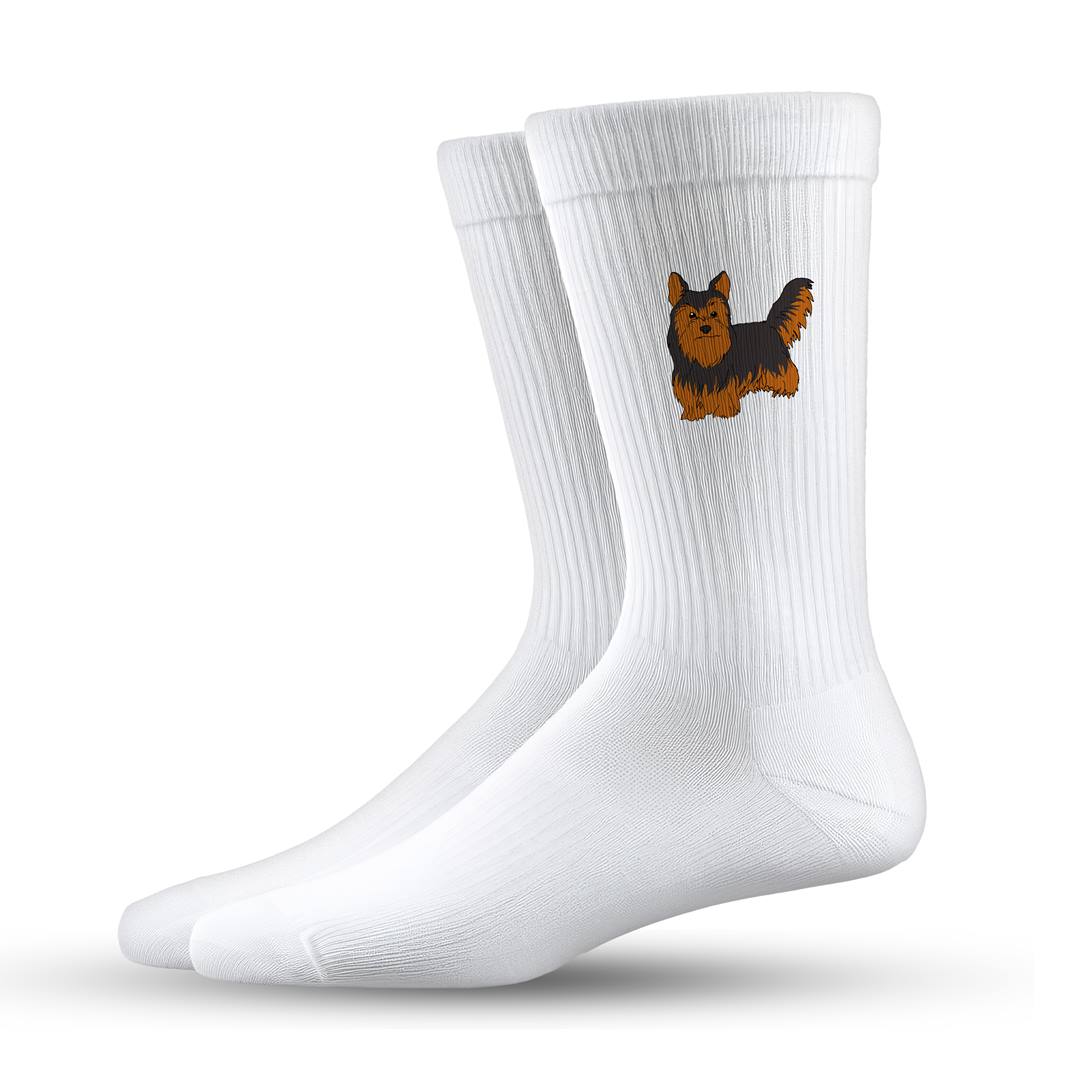 Socken - Yorkshire Terrier
