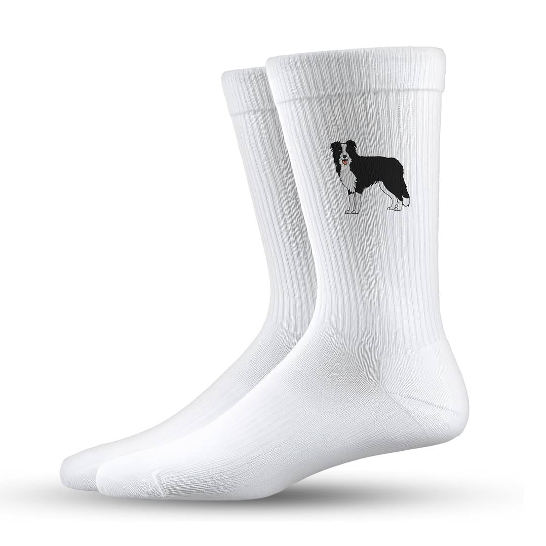 Socken - Border Collie