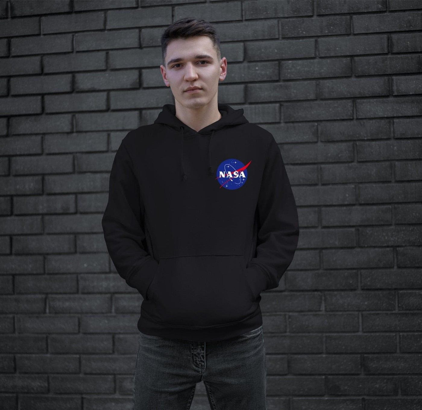 Bild: Hoodie - NASA Meatball Logo (Klein) Geschenkidee