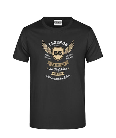 Bild: T-Shirt - Legende seit 66 Jahren zur Perfektion gereift. Jetzt beginnt das Leben Geschenkidee