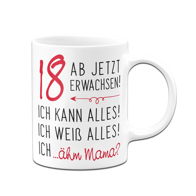 Bild: Tasse - 18 ab jetzt erwachsen! Geschenkidee