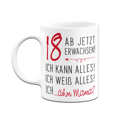 Bild: Tasse - 18 ab jetzt erwachsen! Geschenkidee